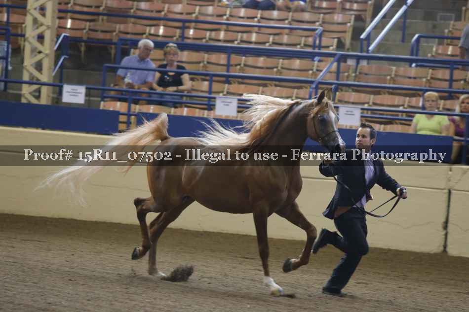 Proof 15R11_07502