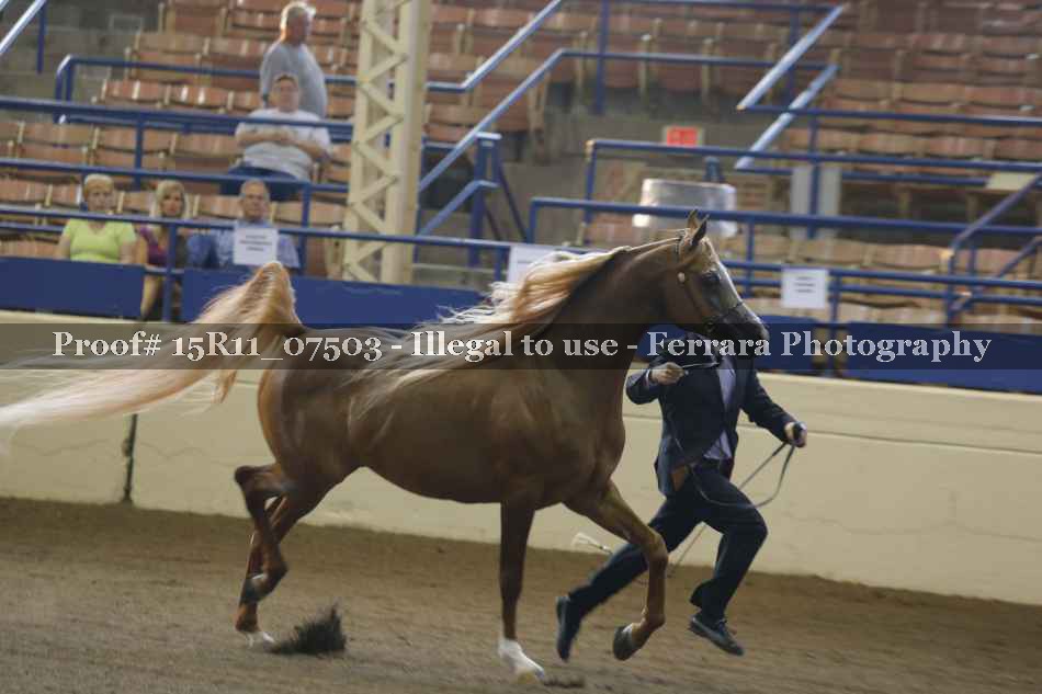 Proof 15R11_07503