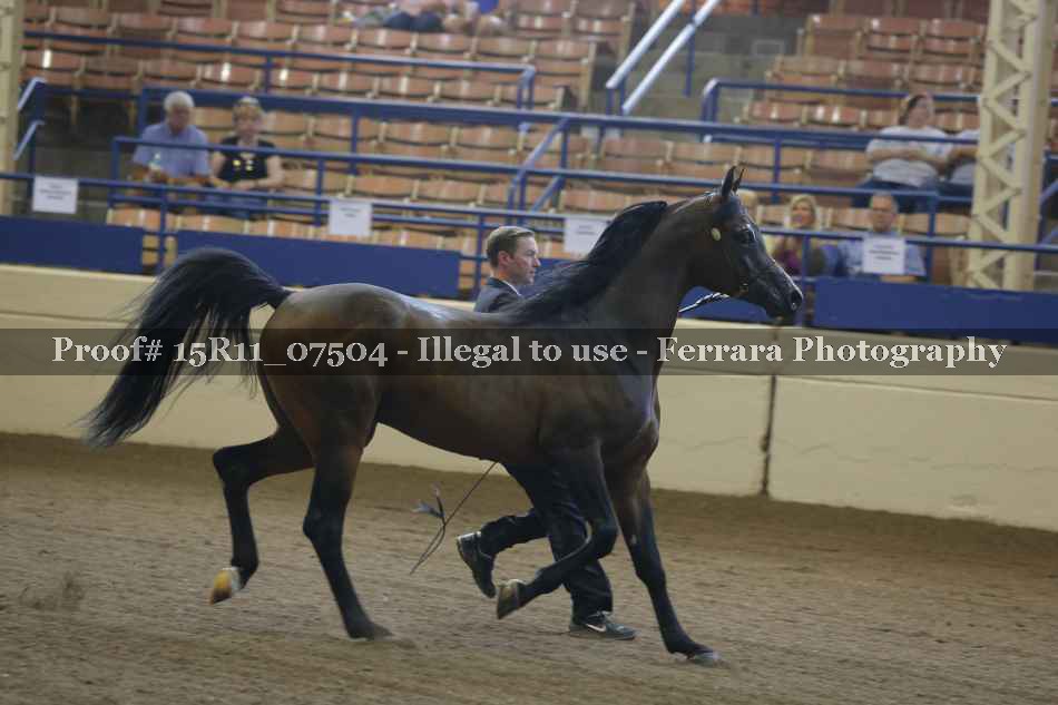 Proof 15R11_07504