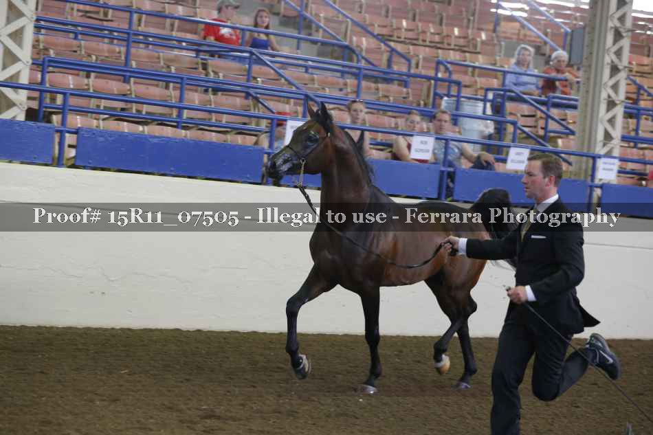 Proof 15R11_07505