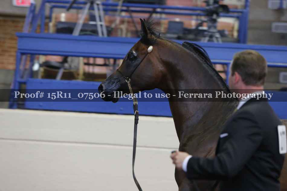 Proof 15R11_07506
