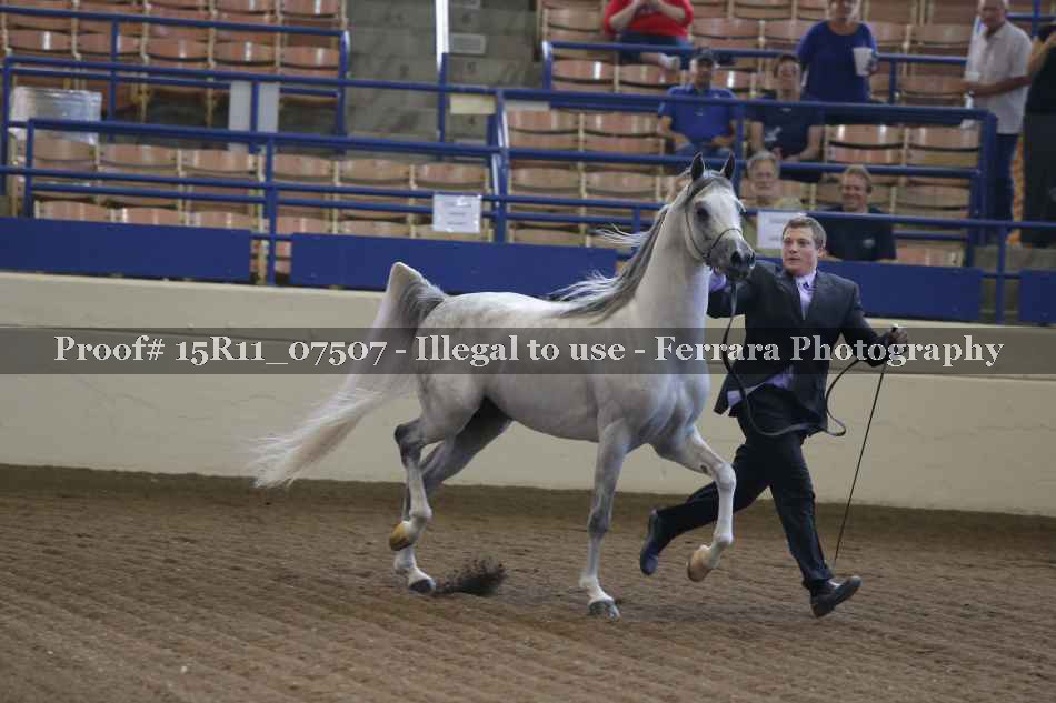 Proof 15R11_07507