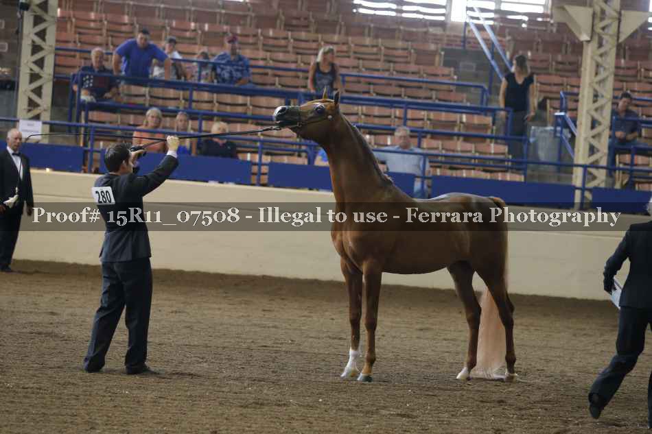 Proof 15R11_07508