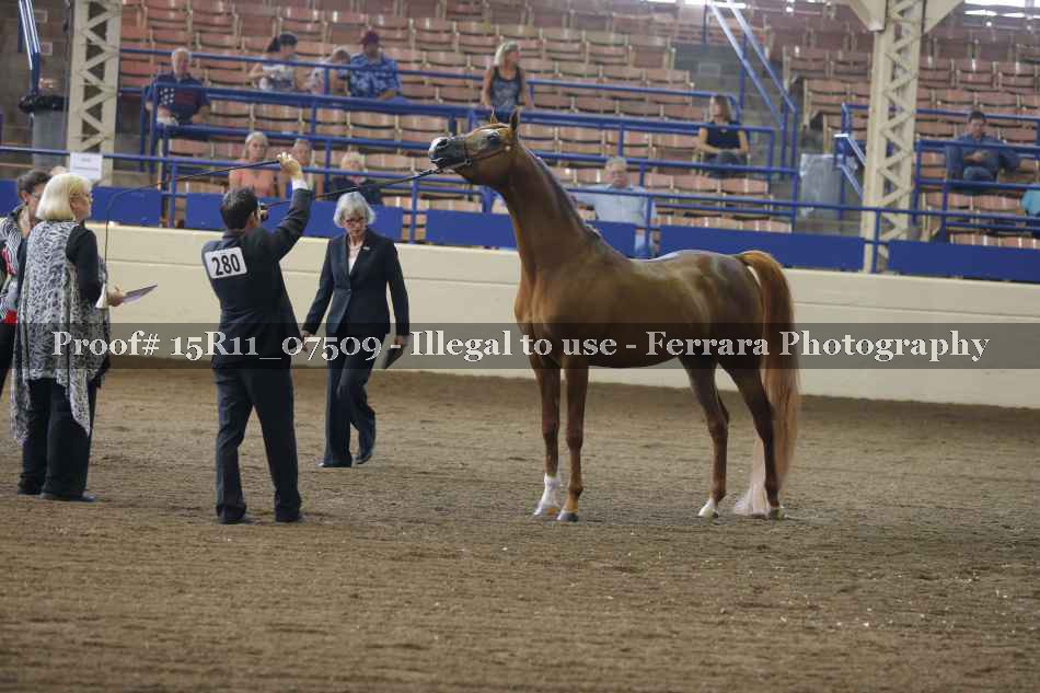 Proof 15R11_07509