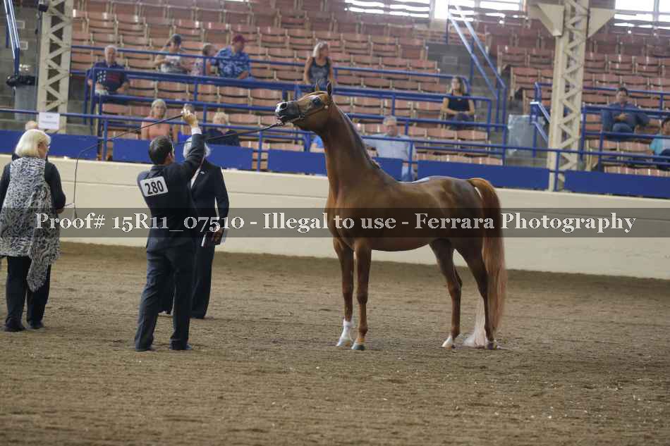 Proof 15R11_07510