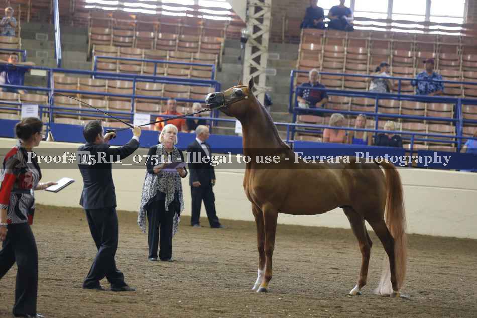 Proof 15R11_07511
