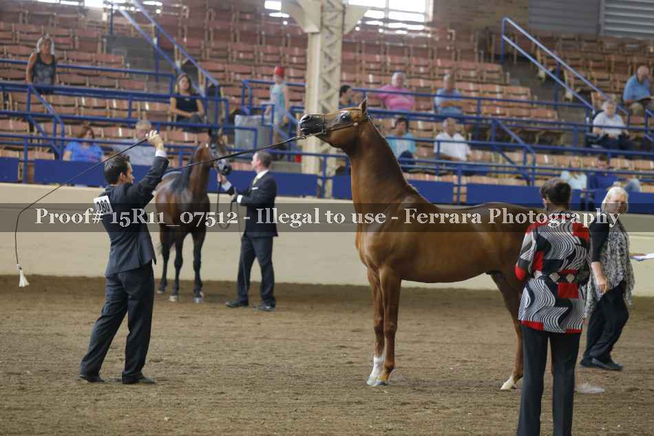 Proof 15R11_07512