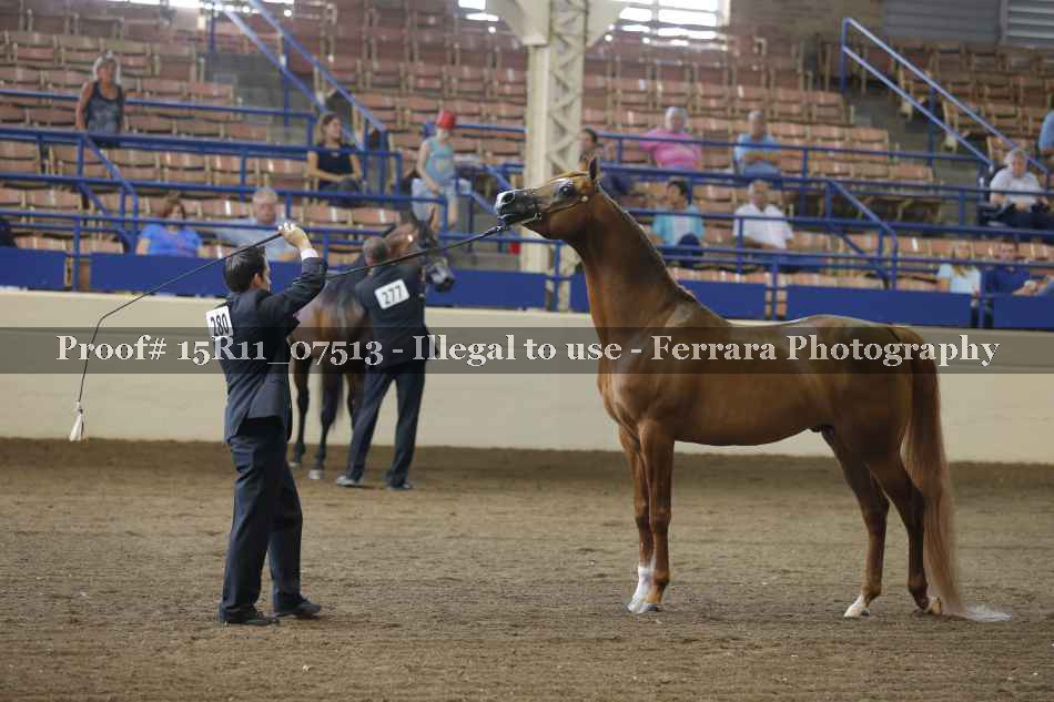 Proof 15R11_07513
