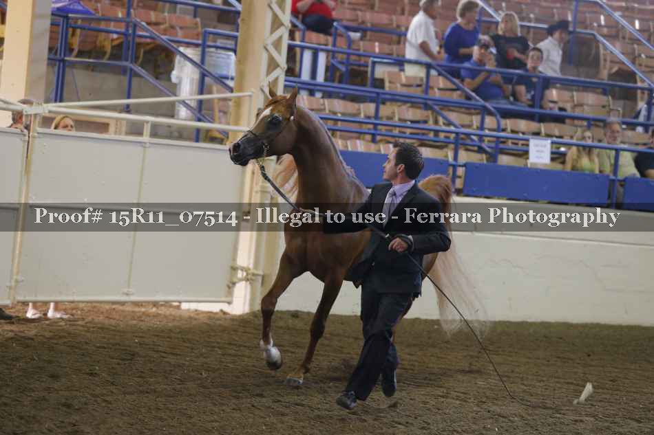 Proof 15R11_07514