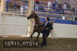 15R11_07514 proof