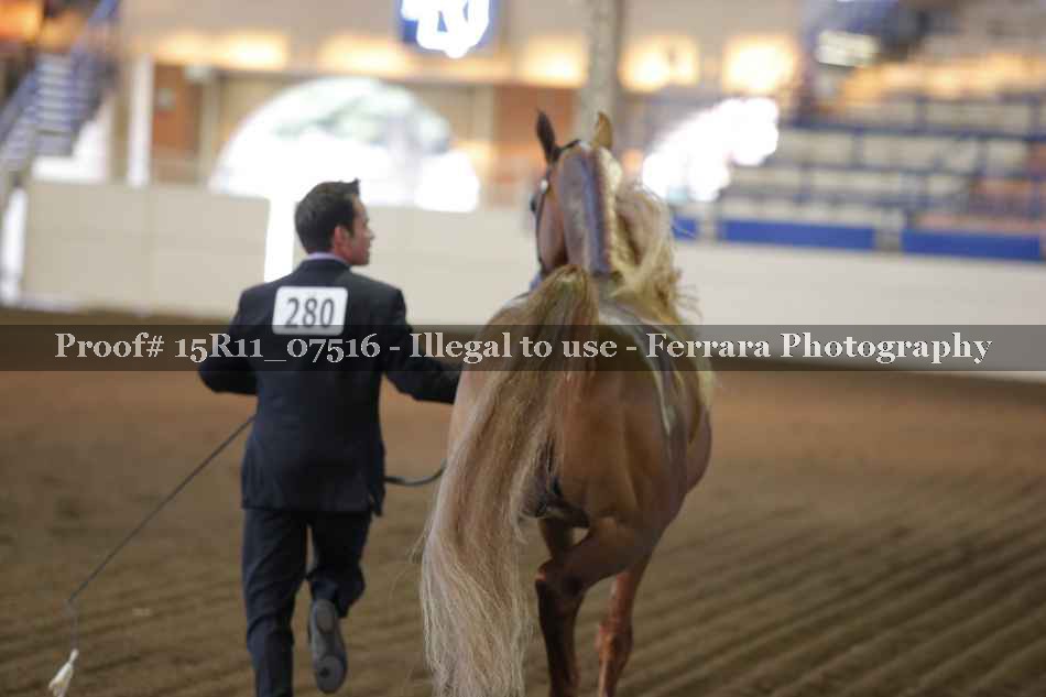 Proof 15R11_07516