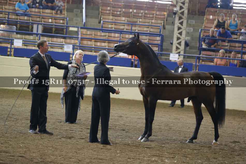 Proof 15R11_07517
