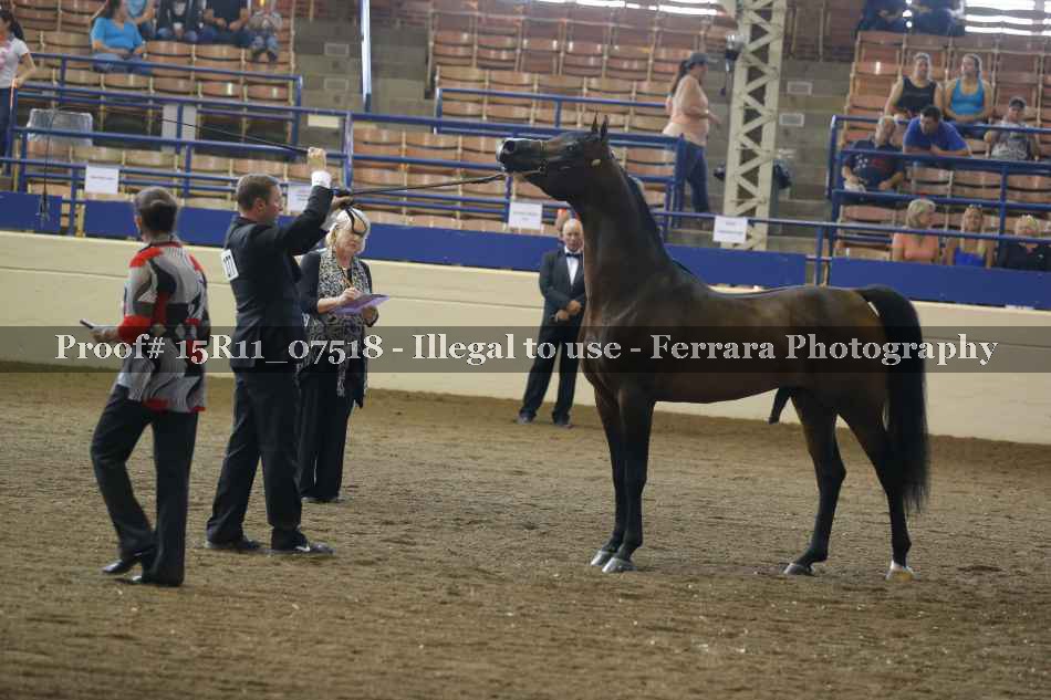 Proof 15R11_07518