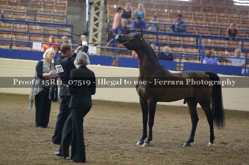 Proof 15R11_07519