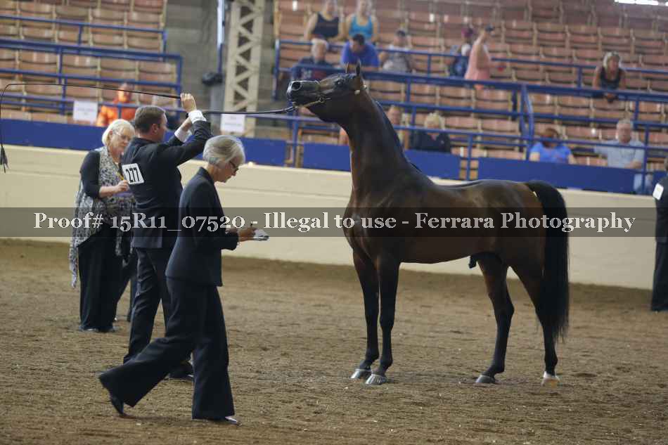 Proof 15R11_07520