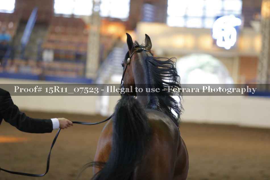 Proof 15R11_07523
