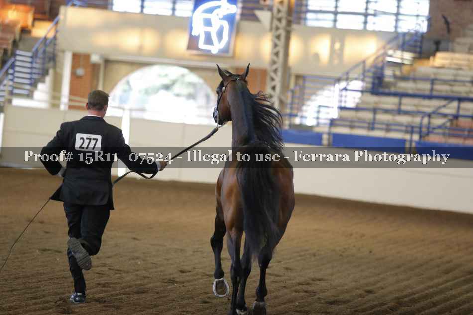 Proof 15R11_07524