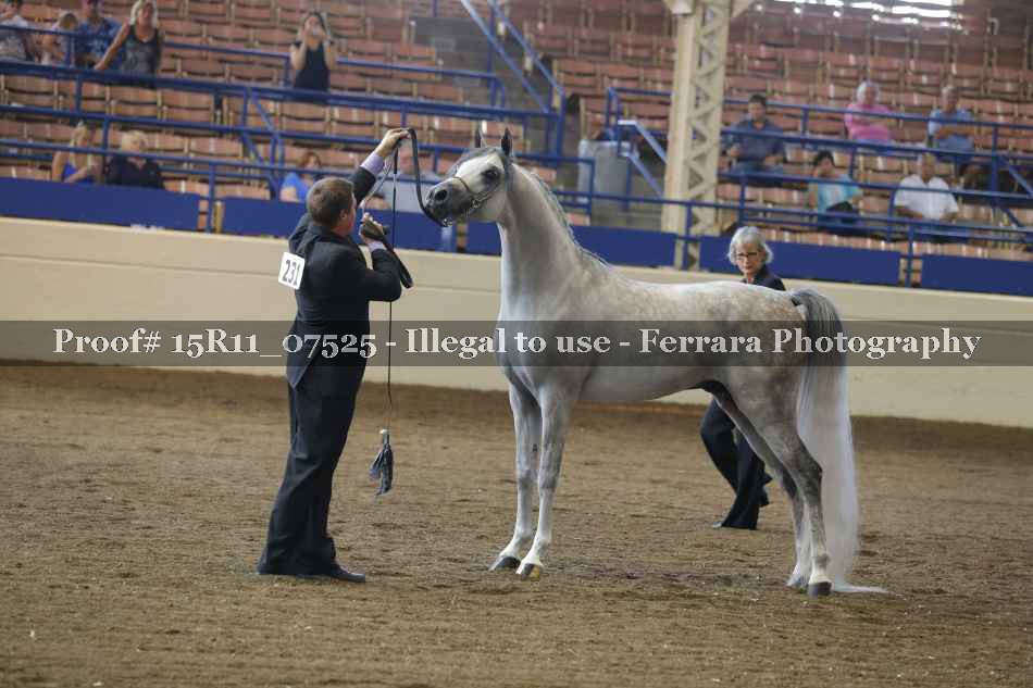Proof 15R11_07525