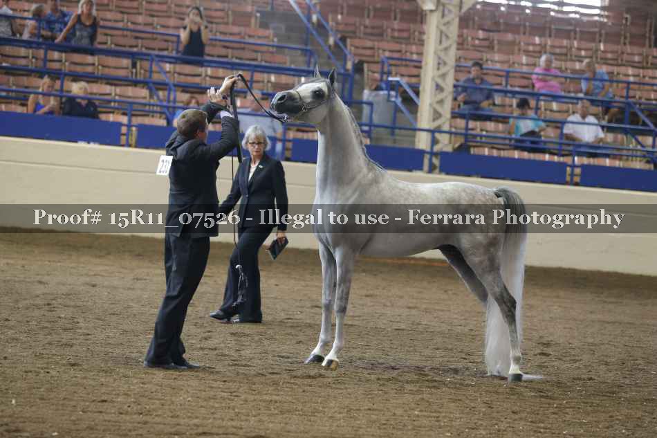 Proof 15R11_07526