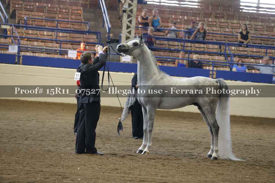Proof 15R11_07527