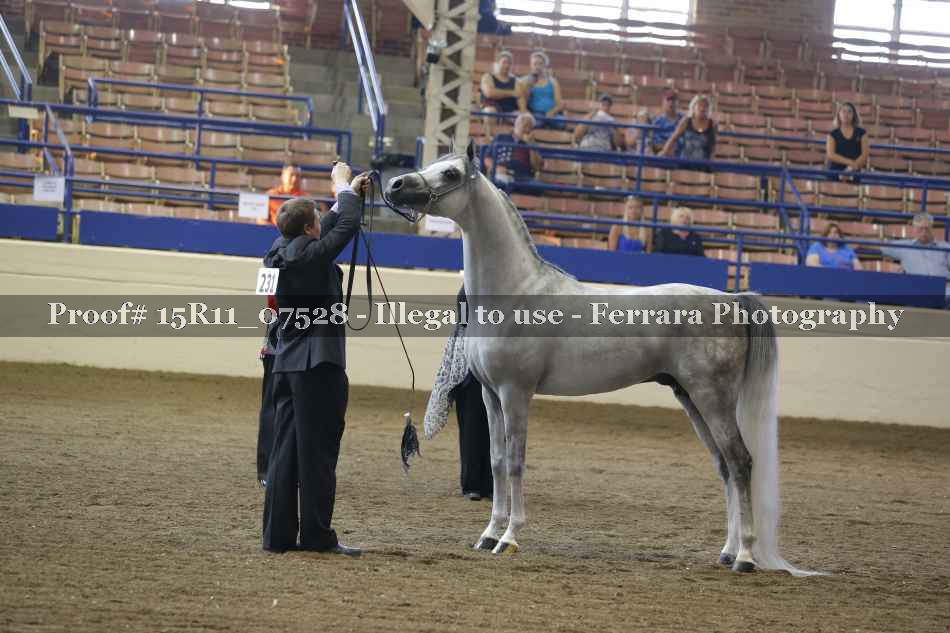 Proof 15R11_07528