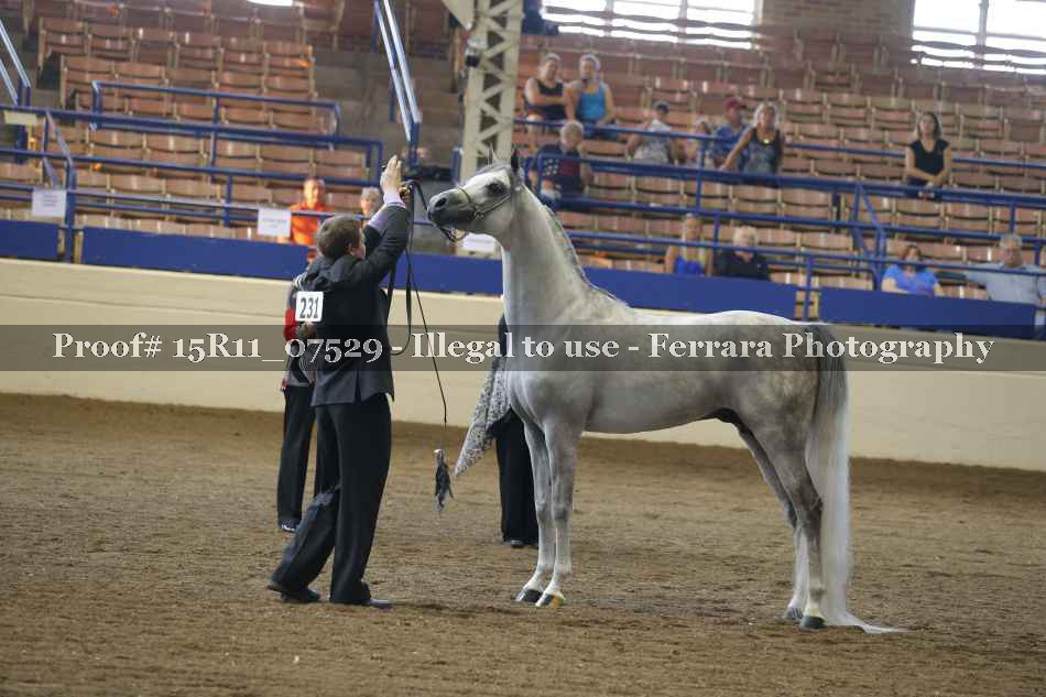 Proof 15R11_07529