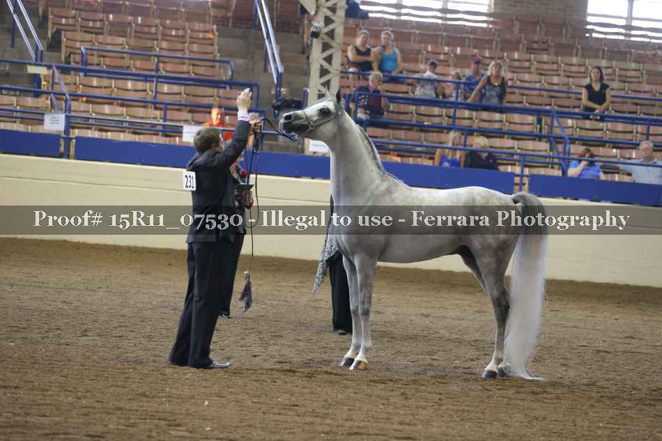 Proof 15R11_07530