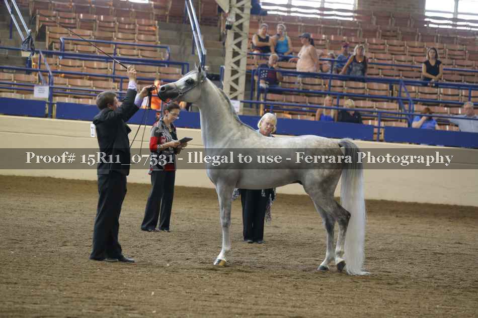 Proof 15R11_07531