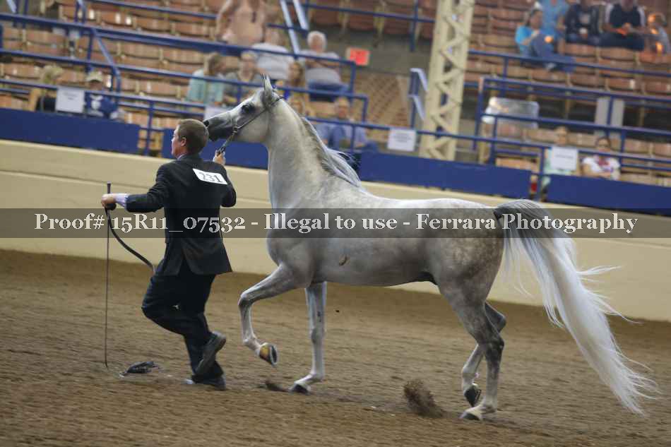 Proof 15R11_07532