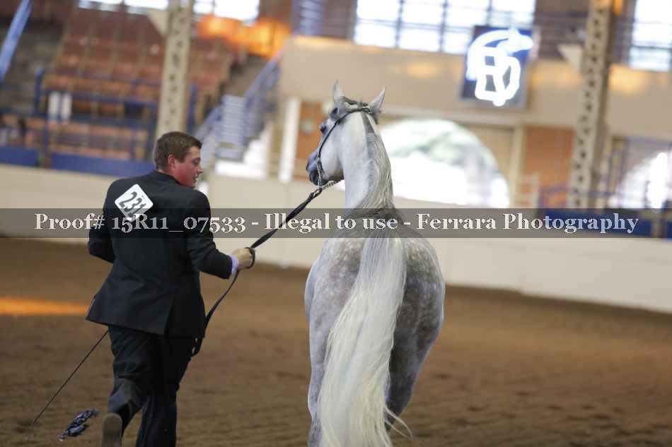 Proof 15R11_07533