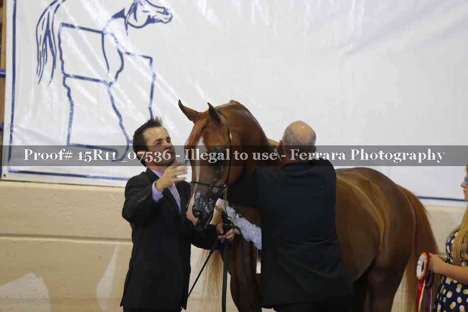 Proof 15R11_07536