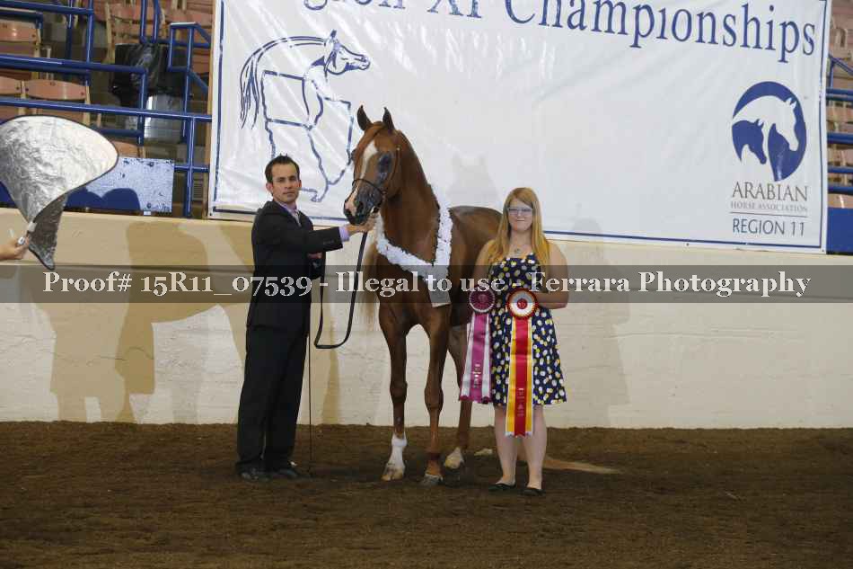 Proof 15R11_07539