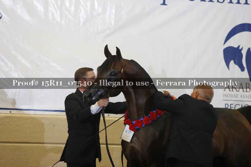 Proof 15R11_07540