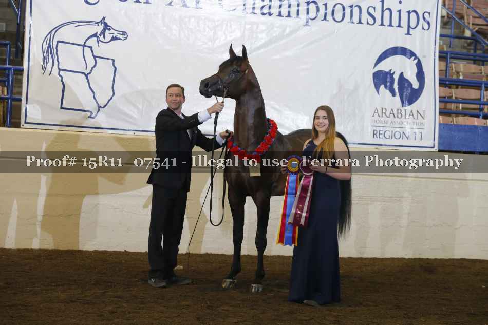 Proof 15R11_07541