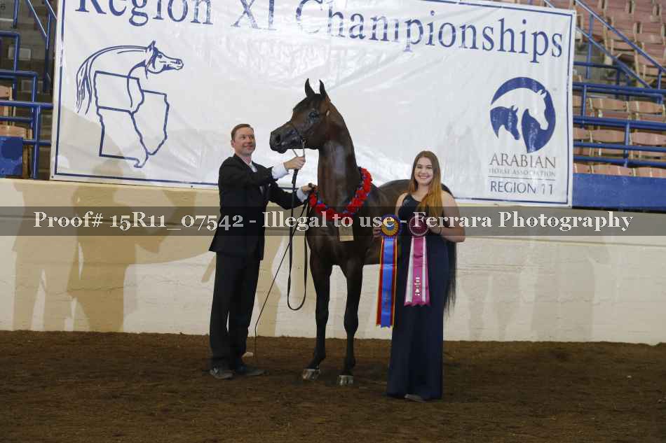 Proof 15R11_07542