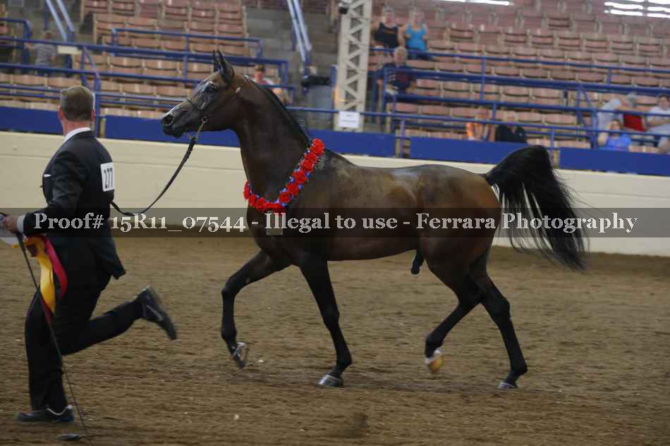 Proof 15R11_07544
