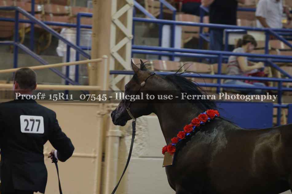Proof 15R11_07545