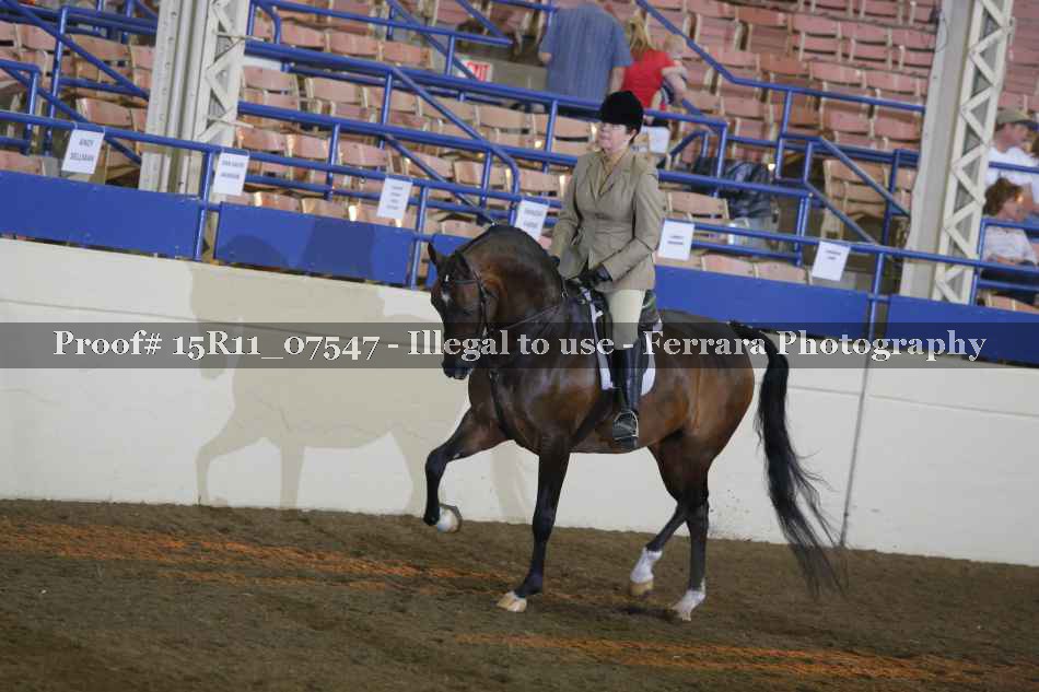 Proof 15R11_07547