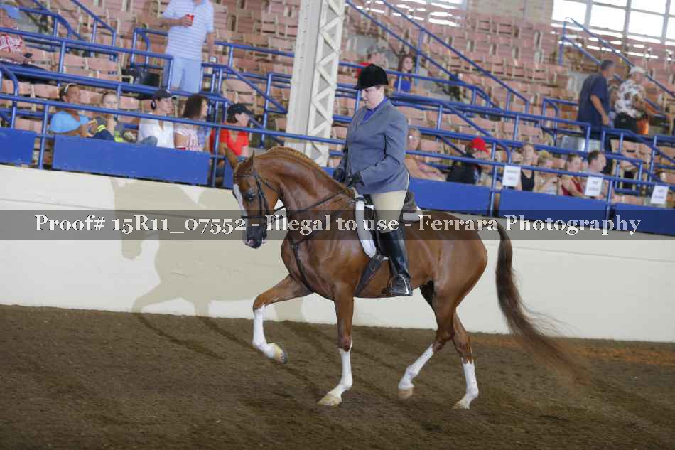 Proof 15R11_07552