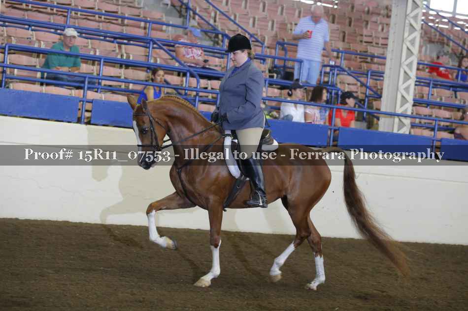 Proof 15R11_07553