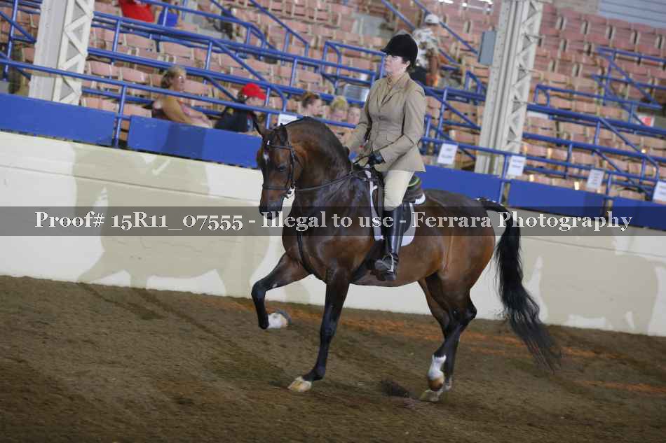 Proof 15R11_07555
