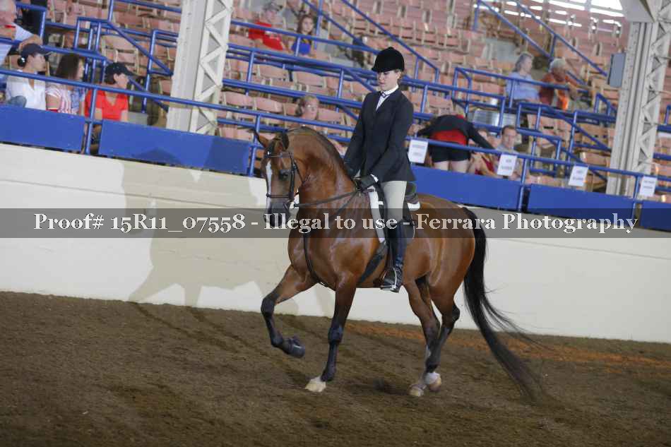 Proof 15R11_07558