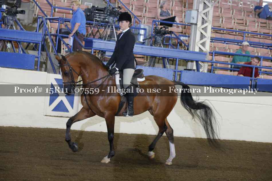 Proof 15R11_07559