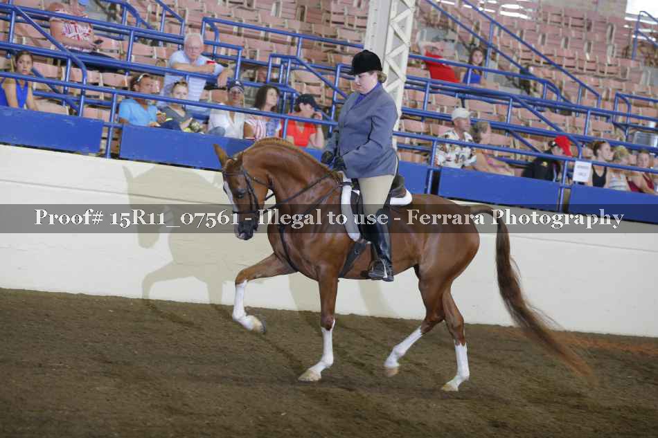 Proof 15R11_07561