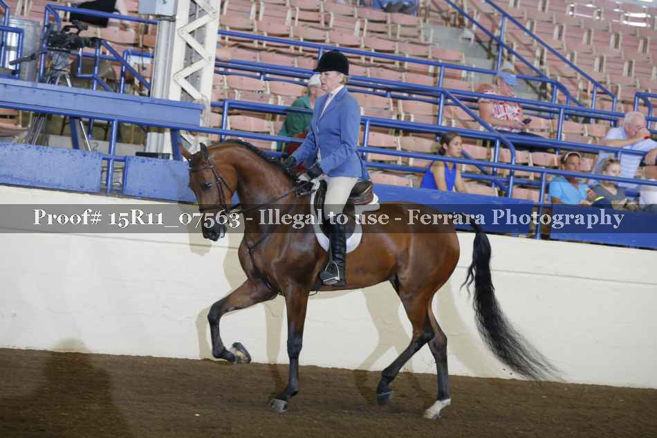 Proof 15R11_07563
