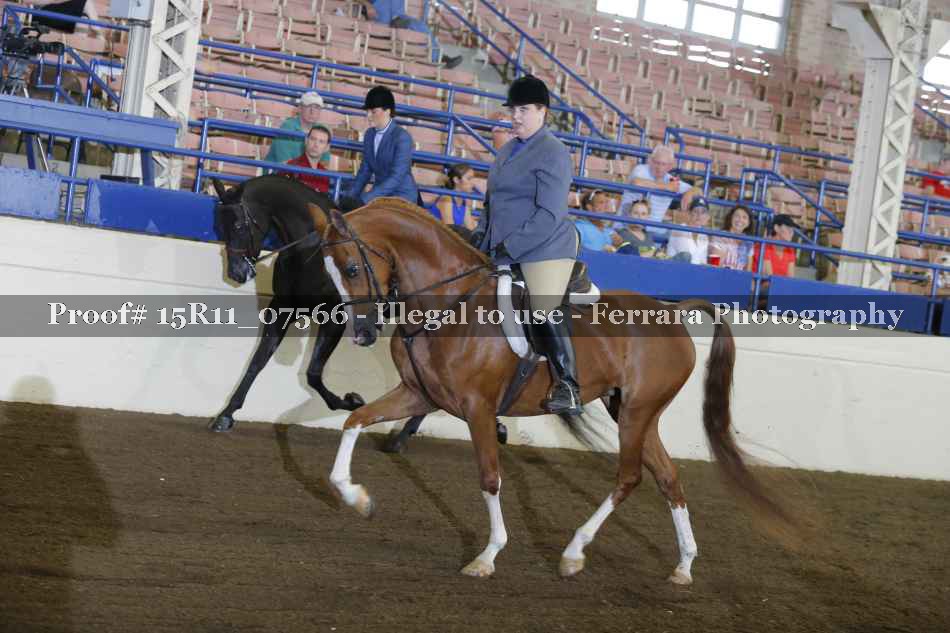 Proof 15R11_07566