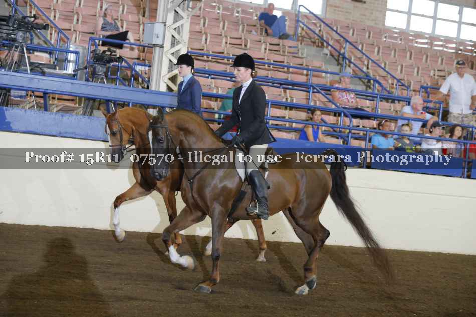 Proof 15R11_07570