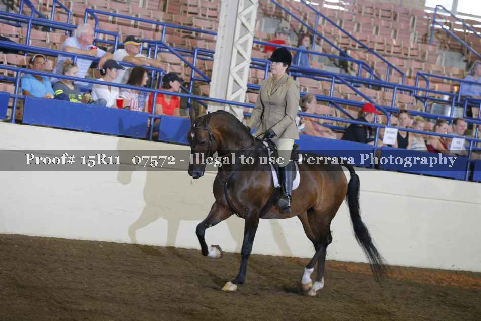 Proof 15R11_07572