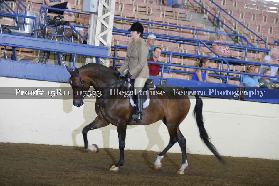 Proof 15R11_07573