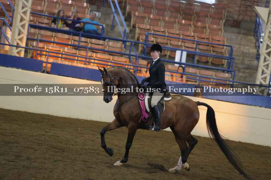 Proof 15R11_07583